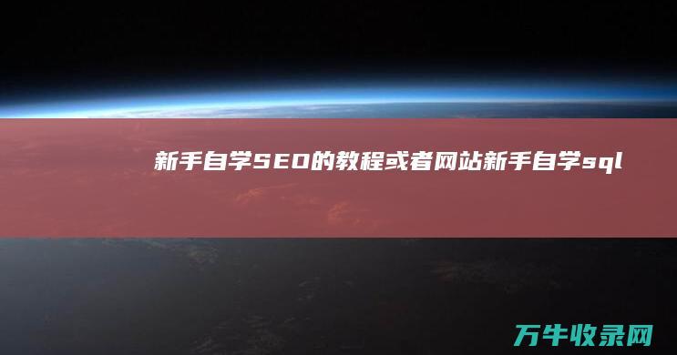 新手自学SEO的教程或者网站 (新手自学sql)